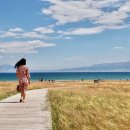 백전농장2 이미지