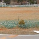 동해부동산공인중개사사무소 이미지