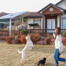 행복한그림이 이미지