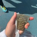 천천초 | 2026년 경기마라톤대회 참가 후기
