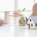 범어애견 이미지