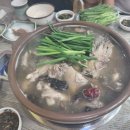 명가오리천국 이미지