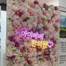 365마미베베한의원 이미지