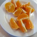 함께하는 농장 이미지