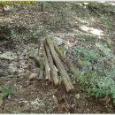 공산초교 이미지