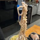 참숯삼인조제주연동점 네이버블로그