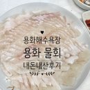 용화물회 | 삼척 용화해수욕장 용화물회 후기