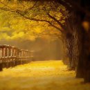 내안에너 이미지