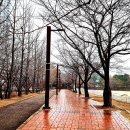 분당동행정복지센터 이미지