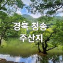 주산지 | 청송 주산지 여름 풍경, 8월 방문 후기