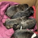 (주)소리안 이미지