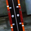 메타바이오 이미지