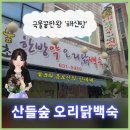산들숲 | 대전맛집 산들숲 오리닭백숙 약주 보양식 신세계 탐험 후기