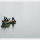 금강변길 이미지