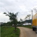 이비에스(EBS)종합학원 이미지