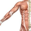 나눔케어 이미지