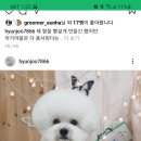 때빼고광나개