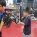 번영 복싱체육관 이미지