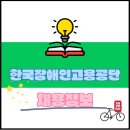 한국장애인고용공단 체험형 청년인턴 채용공고