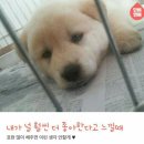 휴휴