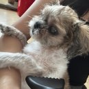 수산뜨락 이미지