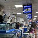 수산1리 마을회관 | 노량진 맛집 방어사냥하러 노량진수산시장 재방문 / 거제횟집에서 초장집으로 충남식당