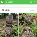 민턴이야기 이미지