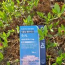 꿀잘자는 비법 굿드림 수면영양제로 포근한 잠을 자보자