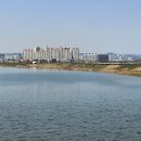 금산 와룡지구 1 이미지