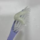 도토리펫샵 | [25.06.19~25.07.16] 👉야구는 날 미치게 해👈