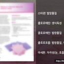 통증N바디테라피 이미지
