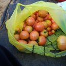 정진농장 이미지