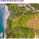 5월 정기산행 - 남해 금산&amp;보리암 &amp; 가천 다랭이마을트레킹 이미지