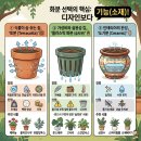 초보식물 집사들을 위한 홈가드닝 | (가드닝 팁)식물 자꾸 죽이는 사람 특징? 99%는 '이것' 때문! 실패 없는 화분 고르기 총정리🪴 (토분...