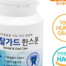 선덴탈 이미지