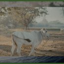 궁산땅굴역사전시관 | 궁산땅굴역사전시관 방문 후기: 역동적인 과거의 흔적
