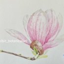 마음의 쉼, 보태니컬 아트 이미지