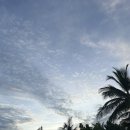 인 메드(In med) | 몰디브 신혼여행 쿠다빌링길리 day3 /조식/스노쿨링/워터풀빌라로 이동!/중식(med)/석식(east)