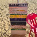 강릉 가볼만한곳 안목해변 스피드보트 체험과 등대 산책 후기