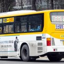 금암마을여객 이미지