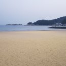 코델리아 민박 이미지