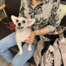 끄적 끄적 일상이야기 ( 연남동, 강화 카페, 풍물시장, 부탄츄, 은행골 초밥, 대한적십자 후원)