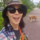 행복한일상 이미지