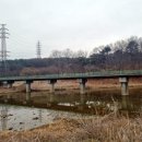 장흥생활체육공원 야구장 이미지