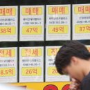 서울 세종공인중개사사무소 서울신문