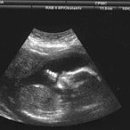 스마트동물병원 이미지