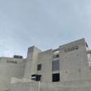 부산우유 가덕도대리점 | [부산] 강서구 부산근교드라이브 대형카페 스톤라운지 솔직후기☕️🥐🌿🌊