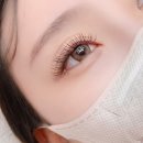 강동-천호-354 | [공지] 천호 속눈썹연장 유지력 좋은 곳 찾는다면?