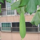 은비네농장 이미지