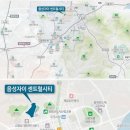 금왕초 티스토리